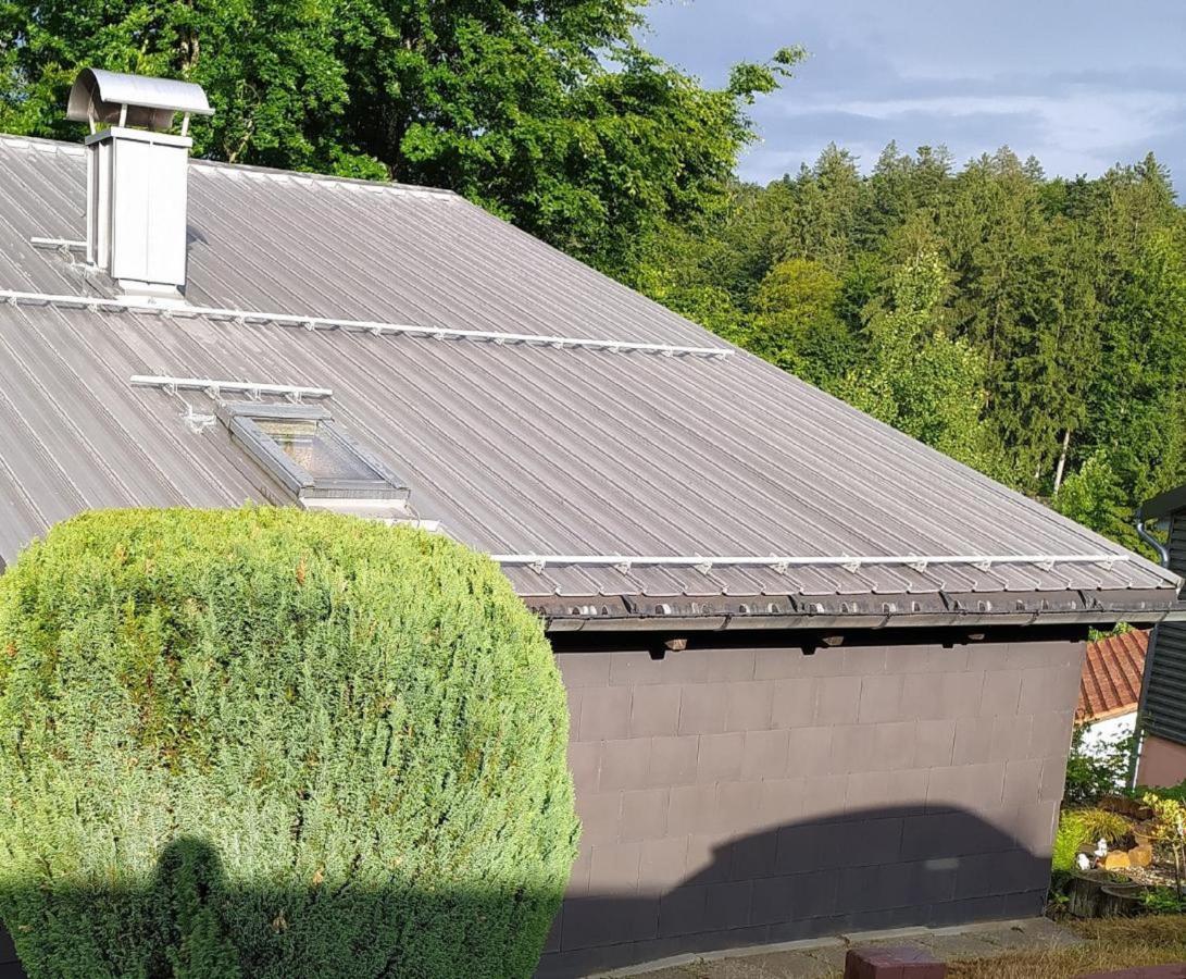 Freyunger Berghaus Villa Exterior photo